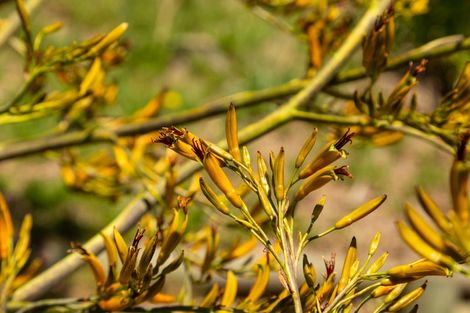 Photo of property in 17 Beach Place, Havelock, 7100