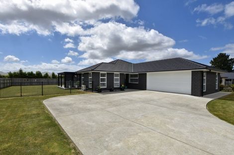 Photo of property in 9 Mervyn Brown Place, Solway, Masterton, 5810