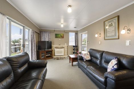 Photo of property in 17 Strathmore Avenue, Levin, 5510