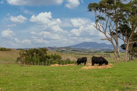 Photo of property in 201c Checkley Road, Raglan, 3295