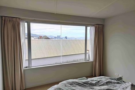 Photo of property in 74 Nairn Street, Mount Cook, Wellington, 6011
