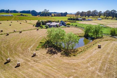 Photo of property in 645 Penny Road, Rongotea, Palmerston North, 4479