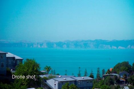 Photo of property in 9 Convent Road, Bluff Hill, Napier, 4110