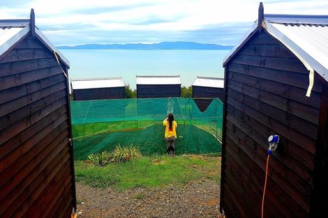 Photo of property in 13 Pohue Creek Road, Ruamahunga, Thames, 3575