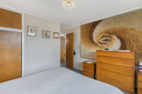 Photo of property in 44a Eton Street, Hampstead, Ashburton, 7700