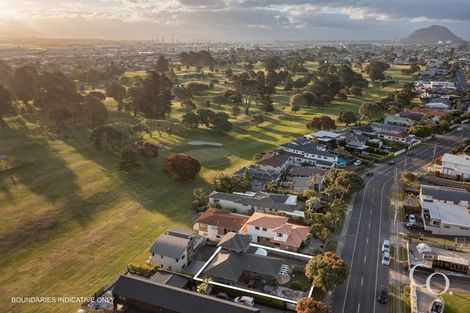 Photo of property in 208 Oceanbeach Road, Mount Maunganui, 3116