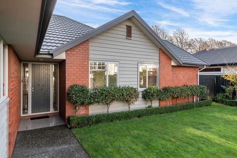 Photo of property in 2 Levinge Lane, Hillmorton, Christchurch, 8024