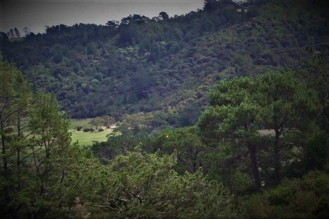 Photo of property in 132b Gatfield Road, Kaukapakapa, 0873