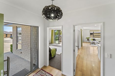 Photo of property in 17 Joyce Place, Richmond, 7020