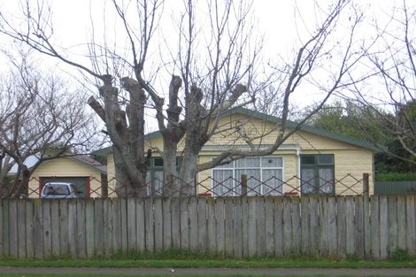 Photo of property in 29 Stuckey Street, Levin, 5510