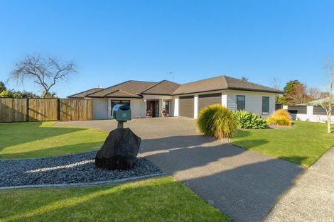 Photo of property in 92 Bethlehem Heights, Bethlehem, Tauranga, 3110