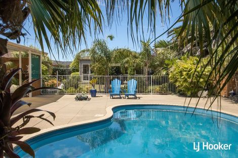 Photo of property in 127 Koutunui Road, Athenree, Katikati, 3177