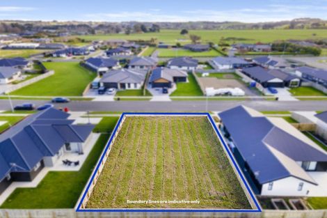 Photo of property in 58 Accolade Street, Feilding, 4702