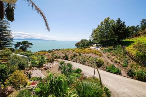 Photo of property in 168 Thames Coast Sh25 Road, Whakatete Bay, Thames, 3575