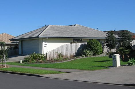 Photo of property in 6 Frank Bunce Grove, Flat Bush, Auckland, 2019