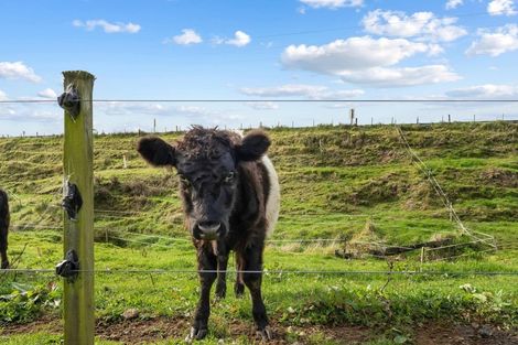 Photo of property in 4 Denbigh Road, Midhirst, Stratford, 4394