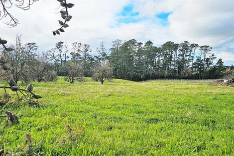Photo of property in 19 Babich Road, Henderson Valley, Auckland, 0614