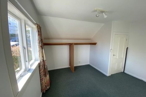 Photo of property in 100 Elizabeth Street, Mount Victoria, Wellington, 6011