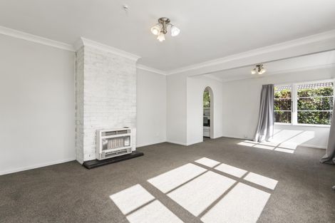 Photo of property in 390 Ruahine Street, Terrace End, Palmerston North, 4410