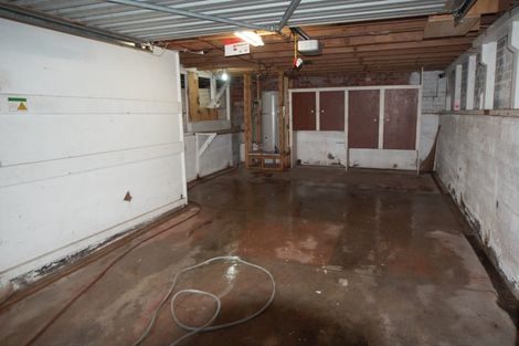 Photo of property in 24 Marion Avenue, Mount Roskill, Auckland, 1041