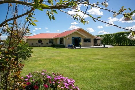 Photo of property in 81a Horrell Road, Morrinsville, 3374