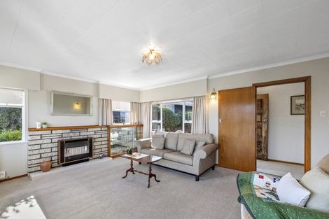 Photo of property in 44 Essex Street, Vogeltown, New Plymouth, 4310