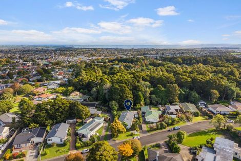 Photo of property in 17 Hillcrest Grove, Hillpark, Auckland, 2102