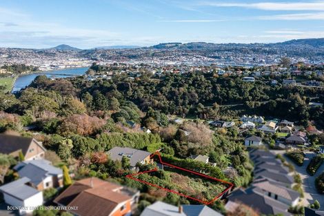 Photo of property in 1 Lauriston Street, Andersons Bay, Dunedin, 9013