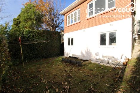 Photo of property in 45 Pacific Street, Roslyn, Dunedin, 9010