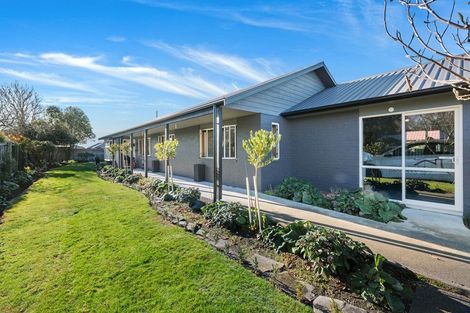 Photo of property in 29 Edward Street, Lincoln, 7608