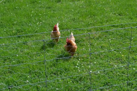 Photo of property in 86c Leithfield Road, Leithfield, Amberley, 7481