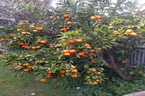 Photo of property in 1407 Caroline Road, Mayfair, Hastings, 4122