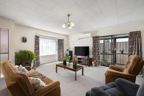 Photo of property in 17 Kiwi Street, Masterton, 5810