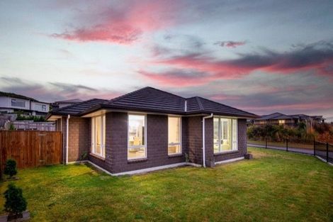 Photo of property in 81 John Burke Drive, Aotea, Porirua, 5024