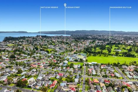 Photo of property in 50 Rogan Street, Mount Roskill, Auckland, 1041