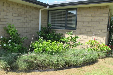 Photo of property in 42a Whitaker Street, Kihikihi, Te Awamutu, 3800