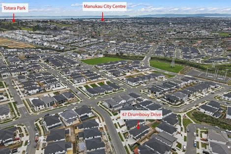 Photo of property in 47 Drumbuoy Drive, Flat Bush, Auckland, 2019