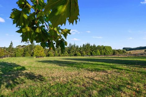 Photo of property in 903 Old North Road, Waimauku, 0882