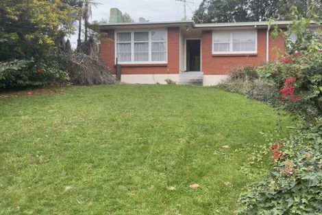 Photo of property in 155 Rimu Street, Maeroa, Hamilton, 3200