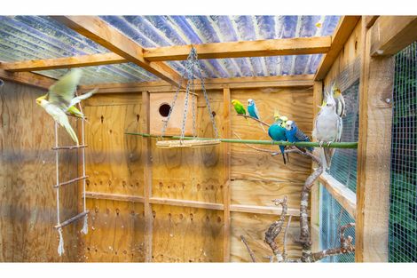 Photo of property in 58 Spinnaker Drive, Flagstaff, Hamilton, 3210