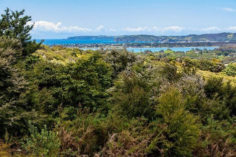 Photo of property in 70 Upper Whangateau Road, Big Omaha, 0985