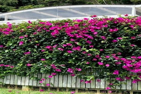 Photo of property in 19 Banks Boulevard, Whitby, Porirua, 5024