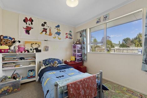 Photo of property in 5 Graham Street, Blenheim, 7201