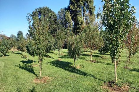 Photo of property in 155 Old Taupo Road, Arapuni, Putaruru, 3481