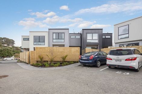 Photo of property in 23 Paeroa Street, Newtown, Wellington, 6021