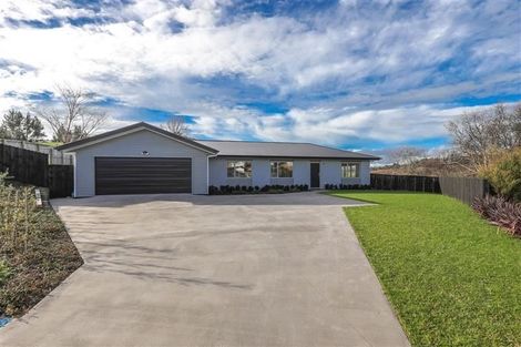 Photo of property in 45 Hartis Avenue, Huntly, 3700