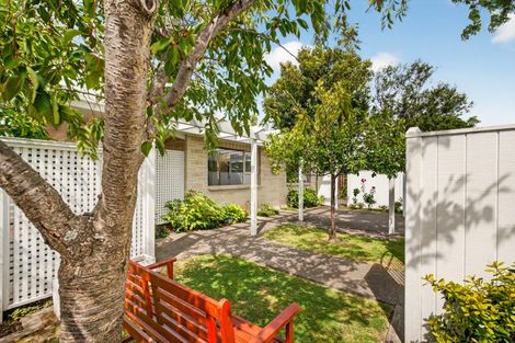 Photo of property in 57 Avenue Road, Greenmeadows, Napier, 4112