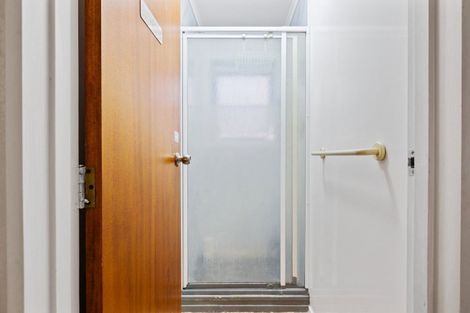 Photo of property in 17 Lane Place, Awapuni, Palmerston North, 4412