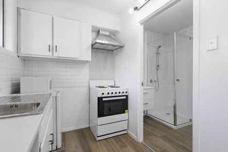 Photo of property in 213 Jervois Road, Herne Bay, Auckland, 1011