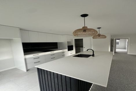 Photo of property in 46 Napier Road, Terrace End, Palmerston North, 4410